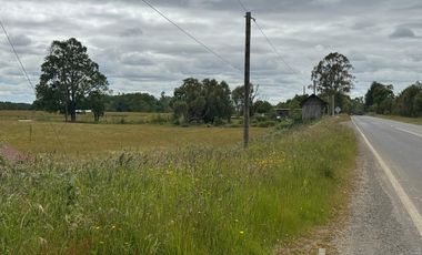PARCELA 2 - AIRES DE FRESIA, SECTOR CAÑITAS, R. DE LOS LAGOS