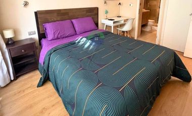 DEPARTAMENTO AMOBLADO 1 DORMITORIO, COCHRANE