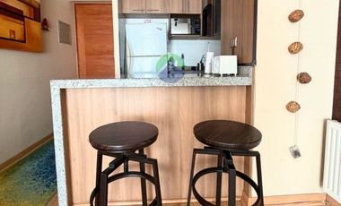 DEPARTAMENTO AMOBLADO 1 DORMITORIO, COCHRANE
