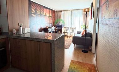 DEPARTAMENTO AMOBLADO 1 DORMITORIO, COCHRANE