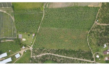 VENTA DE FINCA EN MONTENEGRO, QUINDO, COLOMBIA