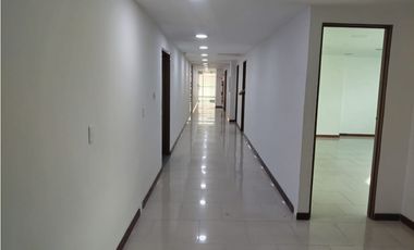 OFICINA EN ARRIENDO LOS BALSOS - MILLA DE ORO