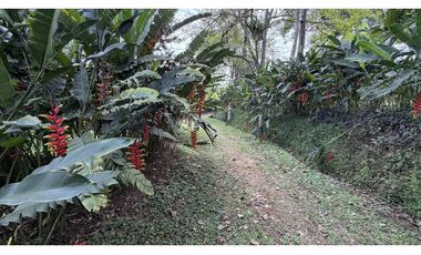 VENTA DE FINCA EN MONTENEGRO, QUINDO, COLOMBIA