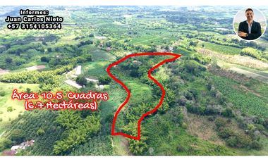 VENTA DE FINCA EN MONTENEGRO, QUINDO, COLOMBIA