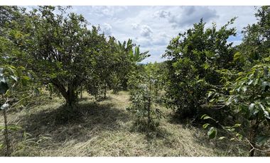 VENTA DE FINCA EN MONTENEGRO, QUINDO, COLOMBIA