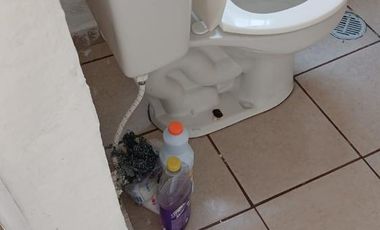 Departamento Pensador Mexicano ID: 171098