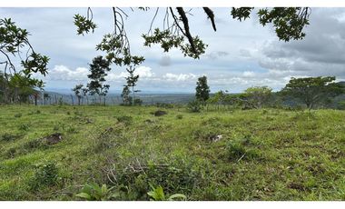 Finca en  Venta Alto Boquete Vía Jaramillo
