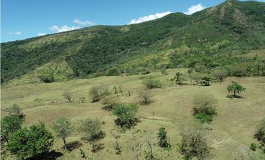 Finca en  Venta Alto Boquete Vía Jaramillo