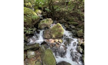 Finca en  Venta Alto Boquete Vía Jaramillo