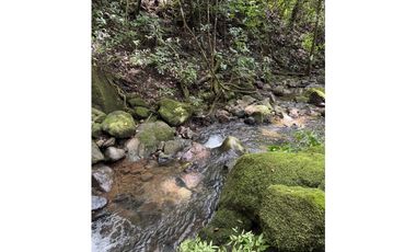 Finca en  Venta Alto Boquete Vía Jaramillo