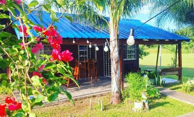 Quinta en venta en Cnia Benitez 8000 mts2 + salón.
