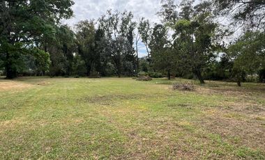 LOTES EN VENTA EN MORENO 300/400m2