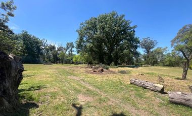 LOTES EN VENTA EN MORENO 300/400m2