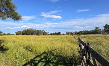 QUINTA EN VENTA EN GUANACO SOBRE RUTA 5