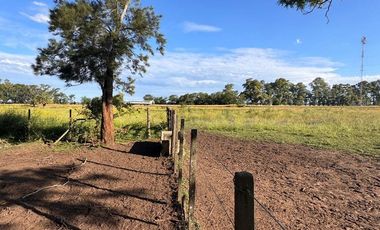 QUINTA EN VENTA EN GUANACO SOBRE RUTA 5