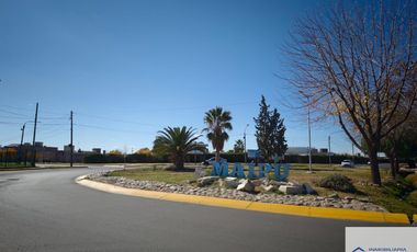 Oficina en alquiler ubicado en Luzuriaga