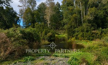 Campo de 20 Ha con Estero de 900 m | Potencial de Desarrollo y Alta Plusvalía | Río Bueno
