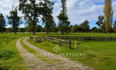 Campo de 20 Ha con Estero de 900 m | Potencial de Desarrollo y Alta Plusvalía | Río Bueno