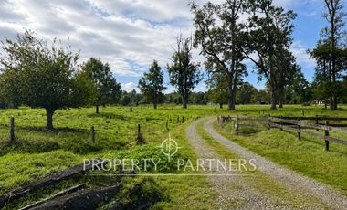 Campo de 20 Ha con Estero de 900 m | Potencial de Desarrollo y Alta Plusvalía | Río Bueno