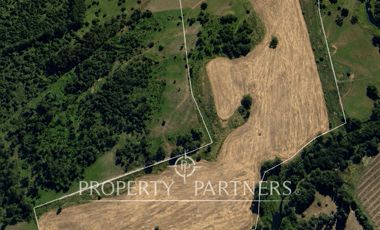 Campo de 20 Ha con Estero de 900 m | Potencial de Desarrollo y Alta Plusvalía | Río Bueno