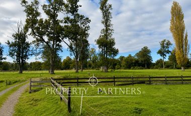 Campo de 20 Ha con Estero de 900 m | Potencial de Desarrollo y Alta Plusvalía | Río Bueno