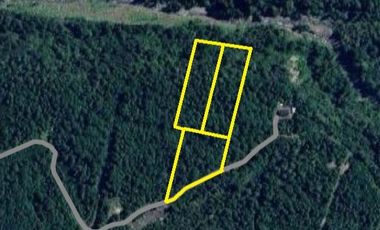 3 Parcelas Juntas - Venta - Puerto Varas - Hermosas Vistas
