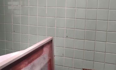 Casa con 2 recámaras y 273 m² de terreno en venta en Roma Sur