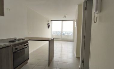 Córdova y Figueroa 1 [386-11]