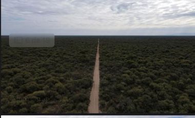 CAMPO 1856 H ALMBRADO EN VILLA DOLORES CON TITULOS PERFECTO