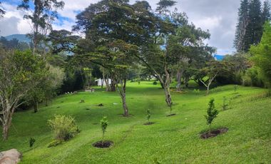 VENTA - FINCA -  KM 12 LA ELVIRA
