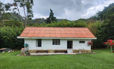 VENTA - FINCA -  KM 12 LA ELVIRA