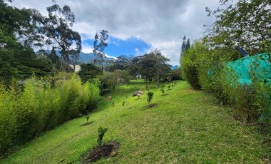 VENTA - FINCA -  KM 12 LA ELVIRA