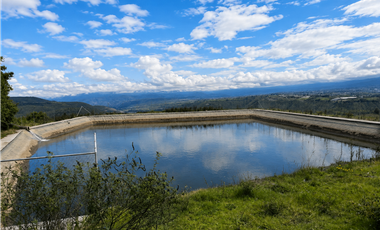 HACIENDA AGRCOLA EN VENTA | 65 HECTREAS – Imbabura