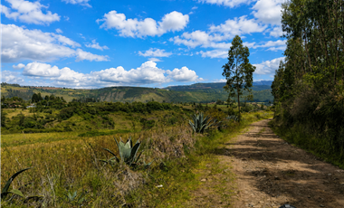 HACIENDA AGRCOLA EN VENTA | 65 HECTREAS – Imbabura