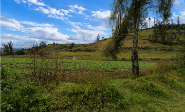 HACIENDA AGRCOLA EN VENTA | 65 HECTREAS – Imbabura