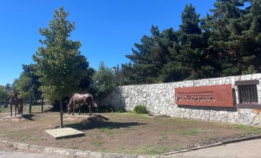 Parcela en venta  en CORONEL
