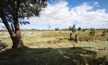 OPORTUNIDAD FINCA EN PRODUCCION SANTA ROSA