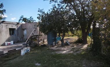 OPORTUNIDAD FINCA EN PRODUCCION SANTA ROSA