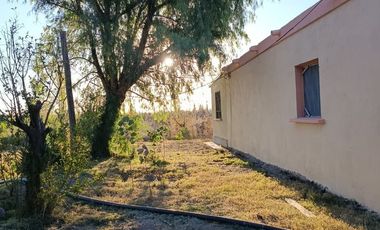 OPORTUNIDAD FINCA EN PRODUCCION SANTA ROSA