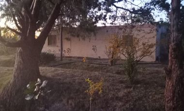 OPORTUNIDAD FINCA EN PRODUCCION SANTA ROSA