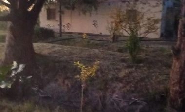 OPORTUNIDAD FINCA EN PRODUCCION SANTA ROSA