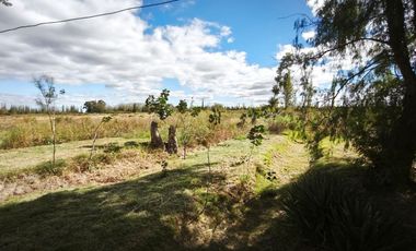 OPORTUNIDAD FINCA EN PRODUCCION SANTA ROSA