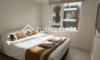 Departamento en Arriendo en Plaza Schwerter