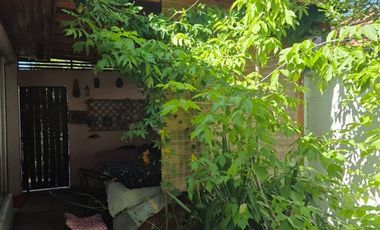 Casa en Venta en Macul