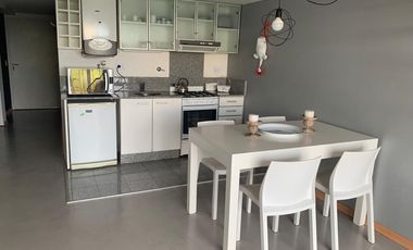 Alquiler amoblado Departamento monoambiente en Terrazas de la Bahia Nordelta