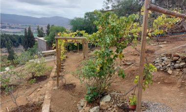 Parcela en Arriendo Cerro San Luis Parcela 11