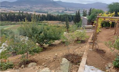 Parcela en Arriendo Cerro San Luis Parcela 11