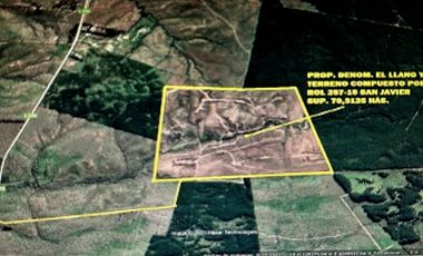 SE VENDE CAMPO -SECTOR REQUENGUA HUERTA MAULE