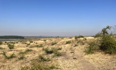 SE VENDE CAMPO -SECTOR REQUENGUA HUERTA MAULE
