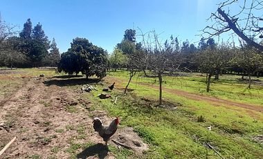 HERMOSA PROPIEDAD EN PARCELA 6000 M2 ALTO LAS CRUCES TALCA
